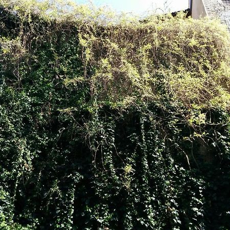 شقة Honey House بارما المظهر الخارجي الصورة